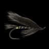 Black Bear series