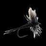 Black Gnat