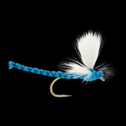 Blue Damsel
