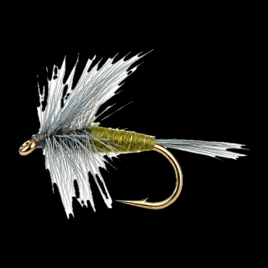 Blue Winged Olive