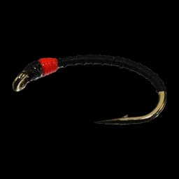 Black Buzzer