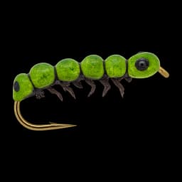 Caterpillar