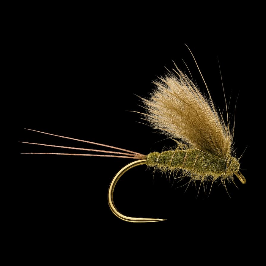 CDC Dark Olive
