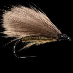 CDC Sedge