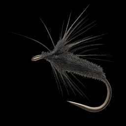 Chub Black & Peacock Spider