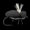 Black Foam Beetle