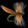 Cinnamon Sedge