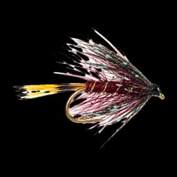 Claret Bumble