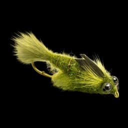 Dragonfly Nymph