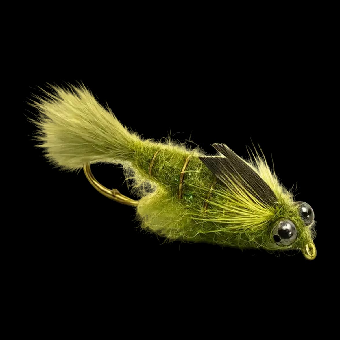 Dragonfly Nymph