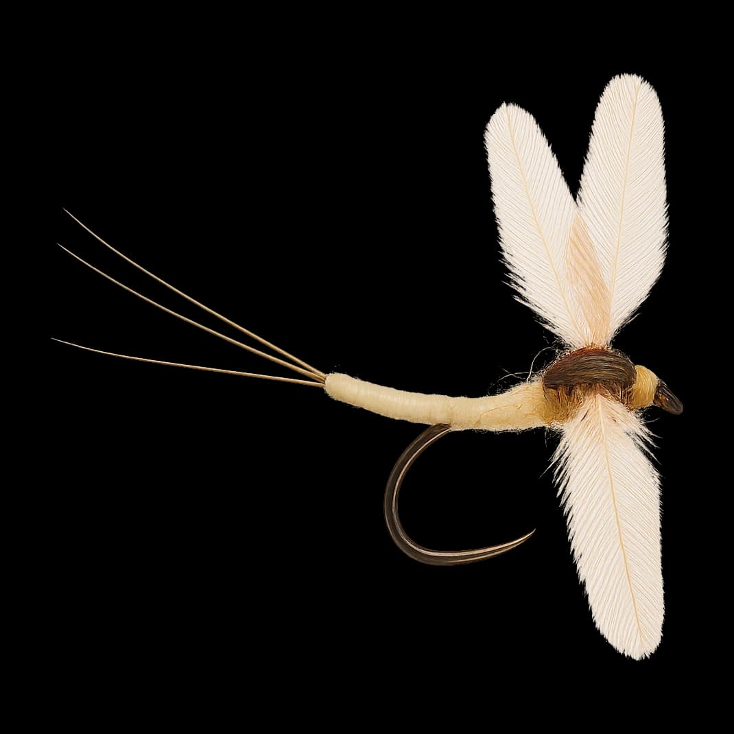 Golden Drake Spinner