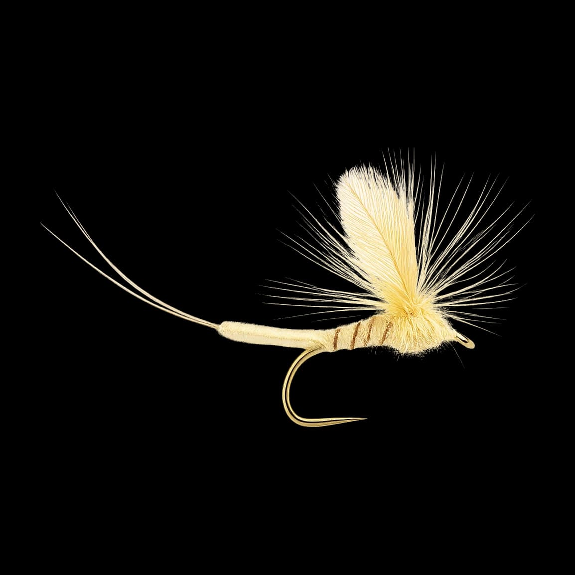 Golden Drake