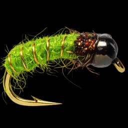 Green Caddis Pupa