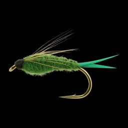 Green Stonefly Nymph