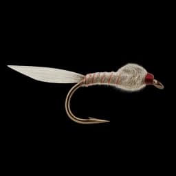 Grey Goose Nymph