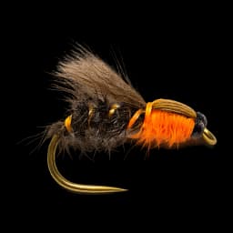 Hatching Duckfly