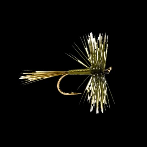 Large Dark Olive Dun