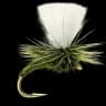 Olive Klinkhamer