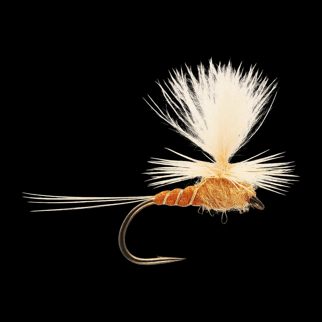 Parachute Spinner