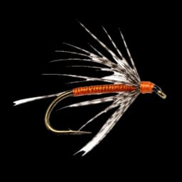 Partridge & Orange