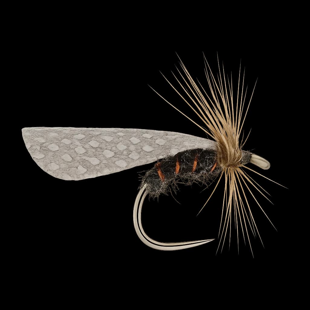 Passion Vine Hopper