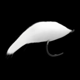 Bunny Leech