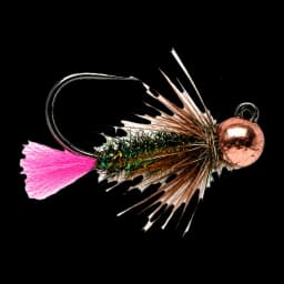 Pink-Tag Bug