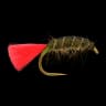 Red Tag Mud Shrimp