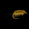 Romy's Mud Shrimp