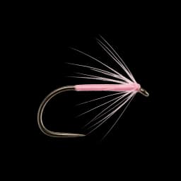 Sparse Pink Spider