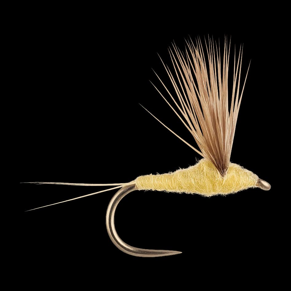 Sulphur Comparadun
