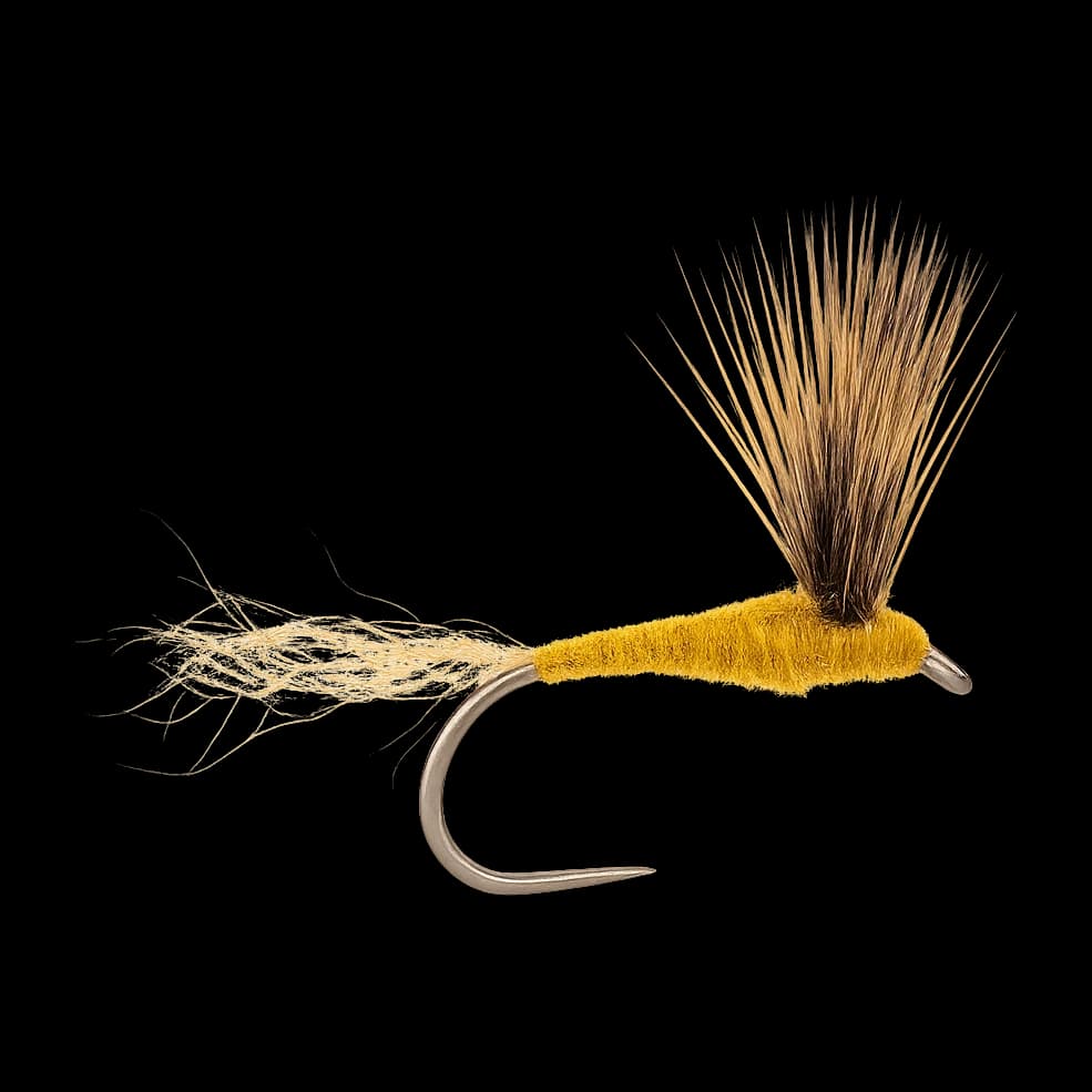 Sulphur Sparkle Dun