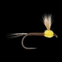 Sulphur Spinner