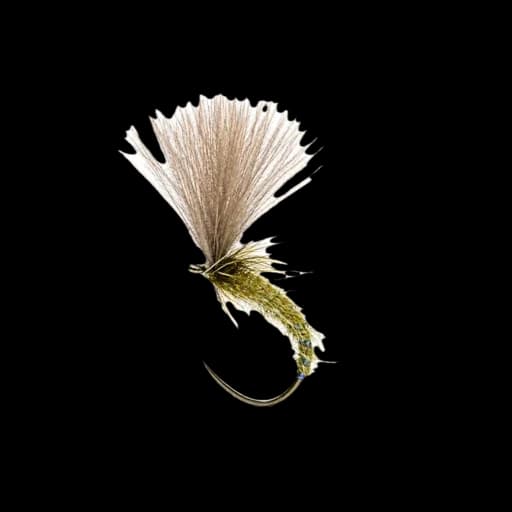 Olive Shuttlecock Emerger