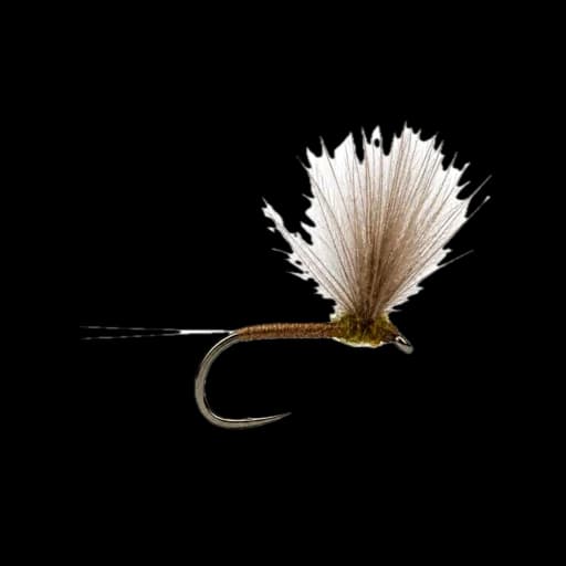 CDC BWO