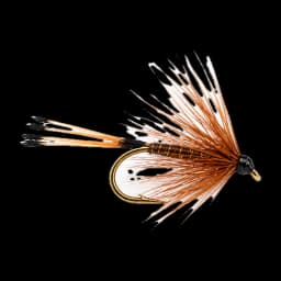 Towy Topper