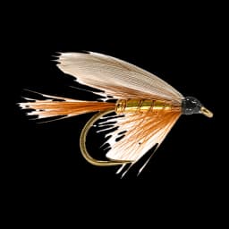 Wickham's Fancy