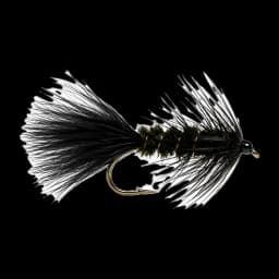 Leech