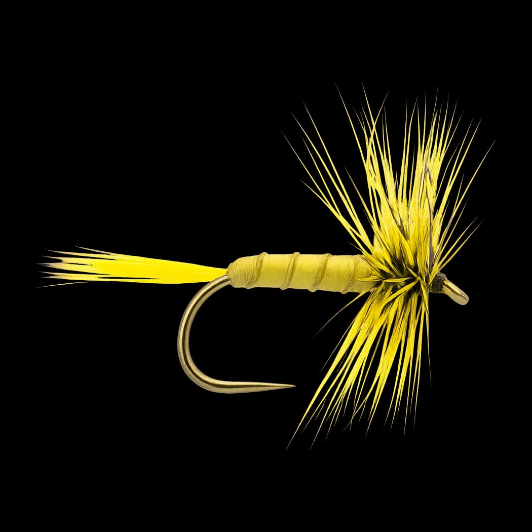 Yellow May Dun