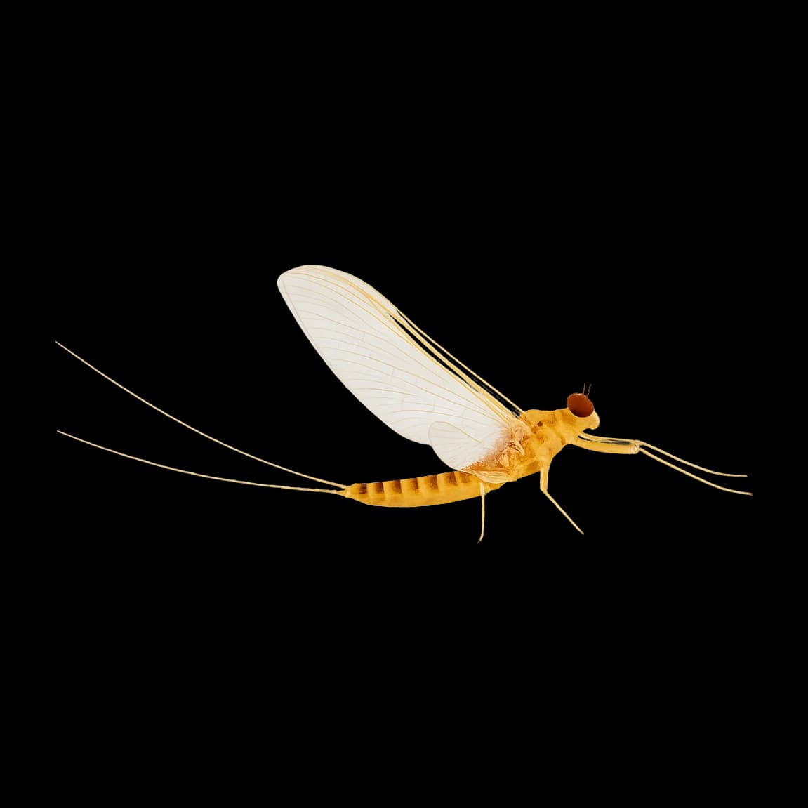 Sulphur — Spinner