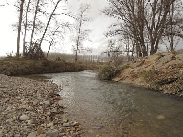 Teruel - Río Alfambra - 20160108