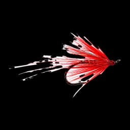 Ally's Shrimp