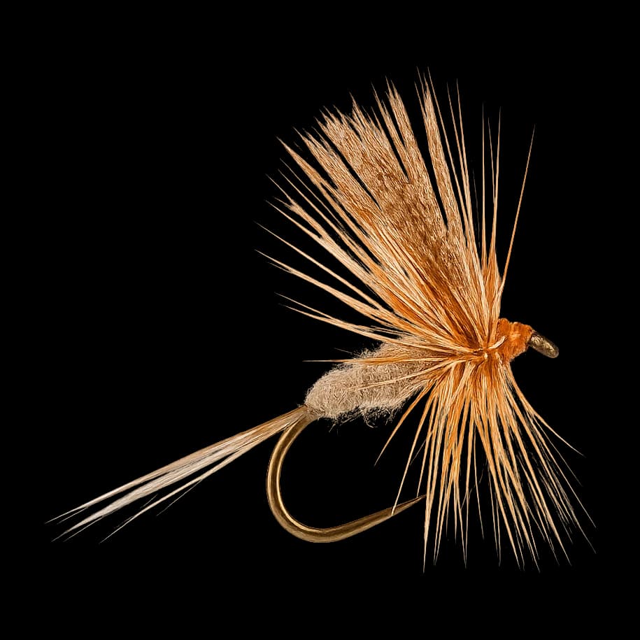 American March Brown