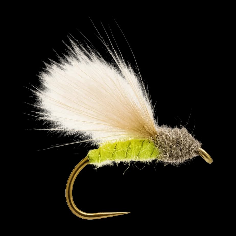 Apple Caddis