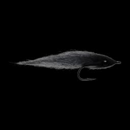 Black Minnow