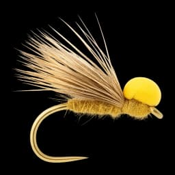 Balloon Caddis