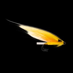 Banana Fly