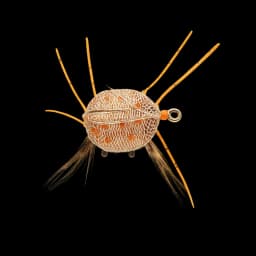Crab Fly