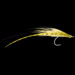 Flatwing Baitfish