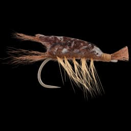 Shrimp / Prawn Fly